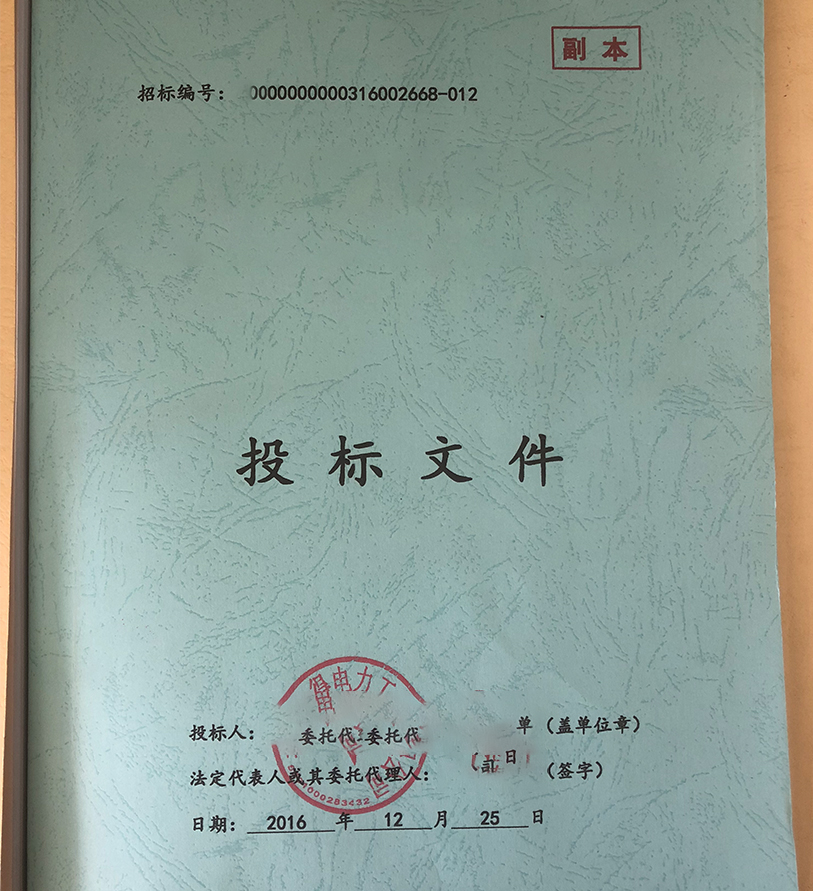 标书案例
