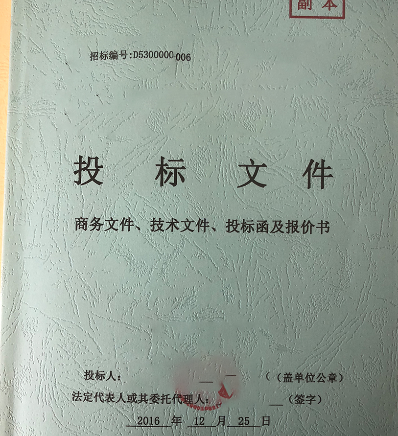 投标书案例