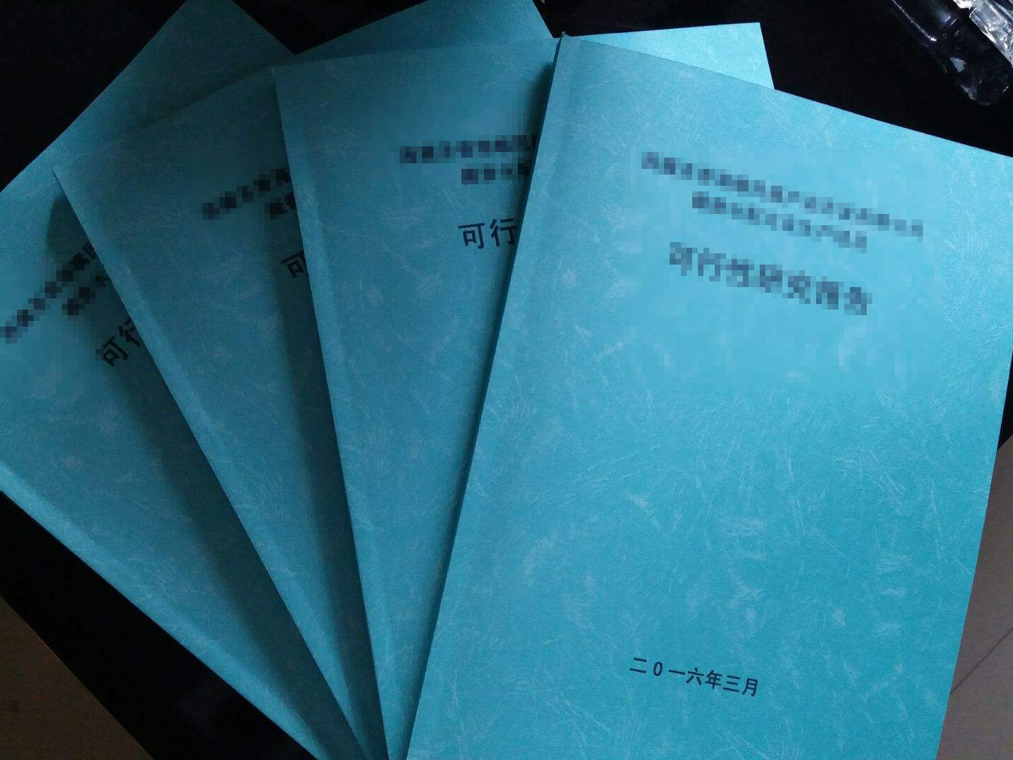 市政工程项目投标书制作